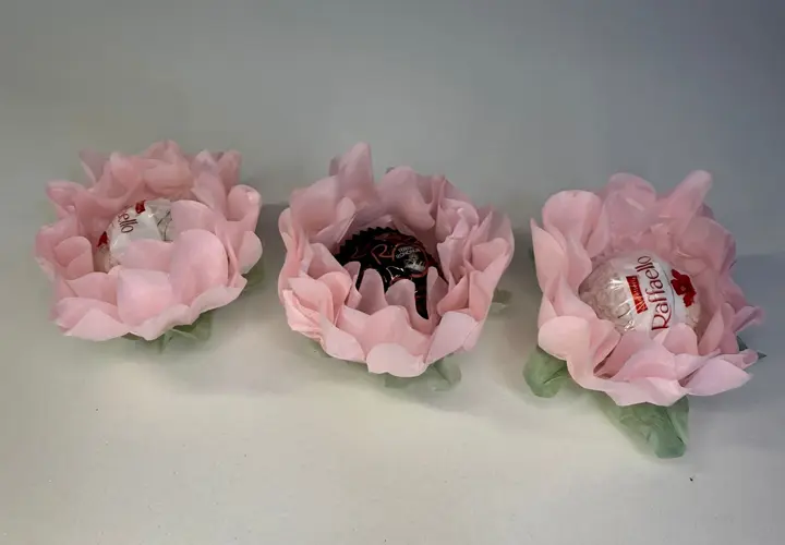 gerberas